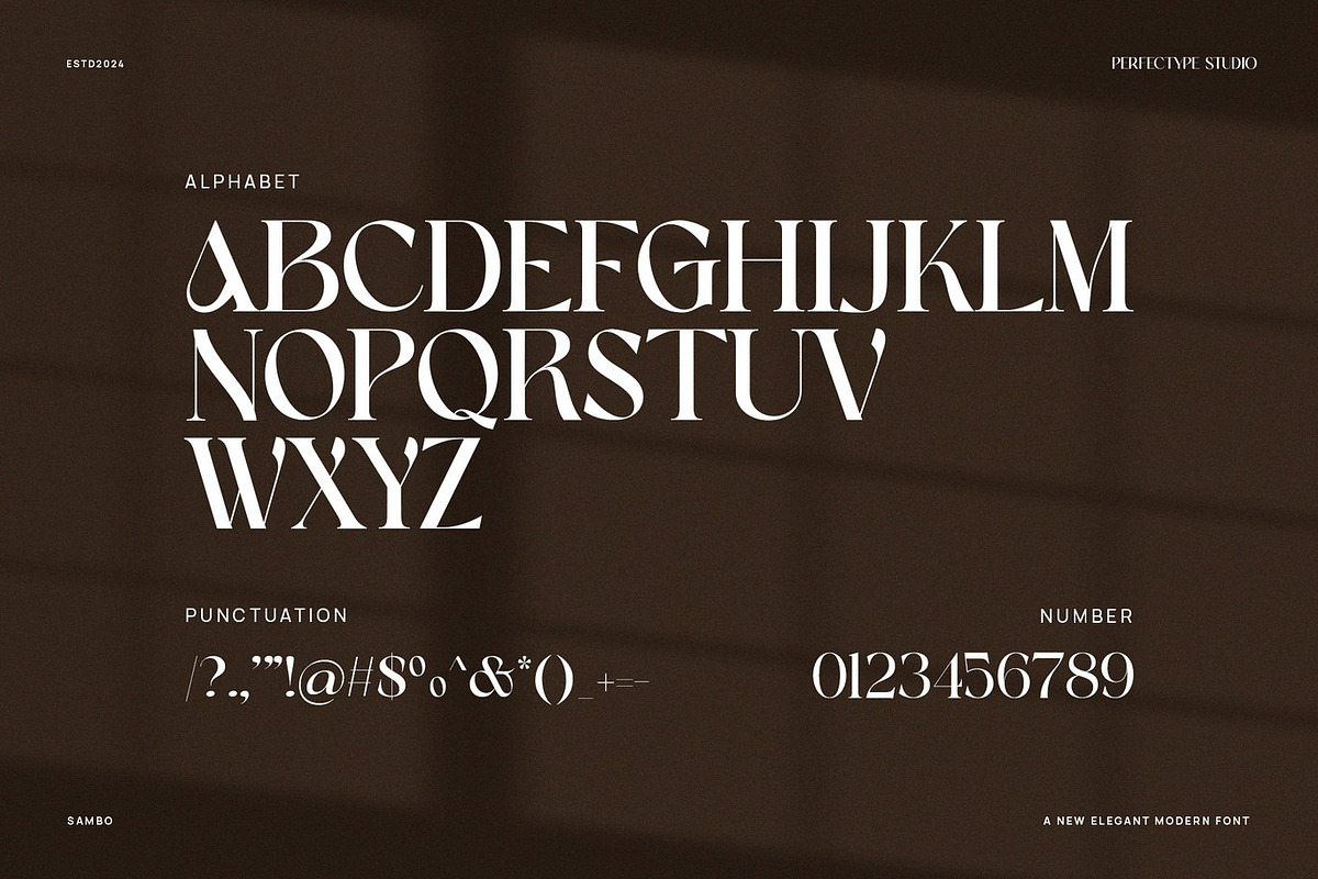 Pixora - Elegant Classy Serif, a Serif Font by Luna Shop (Photo 6 of 8)
