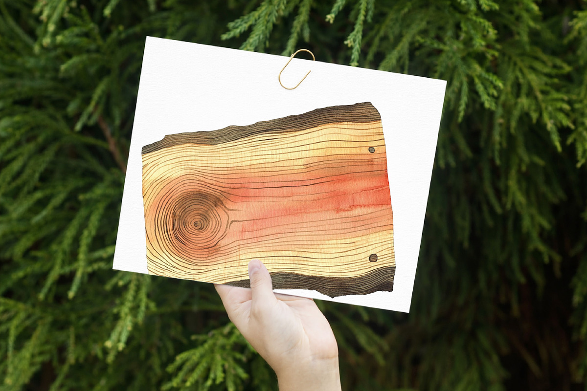 Watercolor wooden flowers clipart PN, an Illustration by Libby Wishes (Photo 3 of 7)
