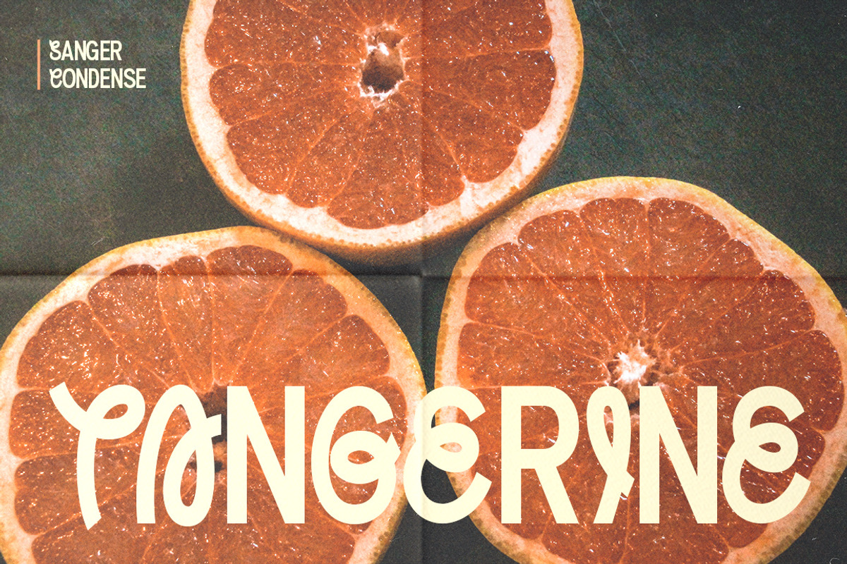 Sanger, a Sans Serif Font by Fargun Studio (Photo 16 of 20)