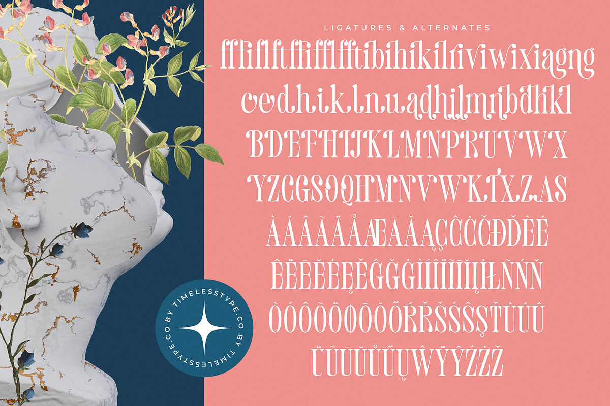 Trangels New Tall Serif Display, a Serif Font by timelesstype.co (Photo 19 of 20)