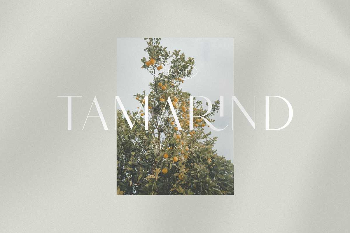 Hello Paris - Modern Sans, a Sans Serif Font by Sans & Sons (Photo 3 of 10)