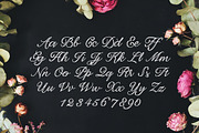 Laura Rose Font, a Script Font by Printable Wisdom (Thumbnail 3 of 3)