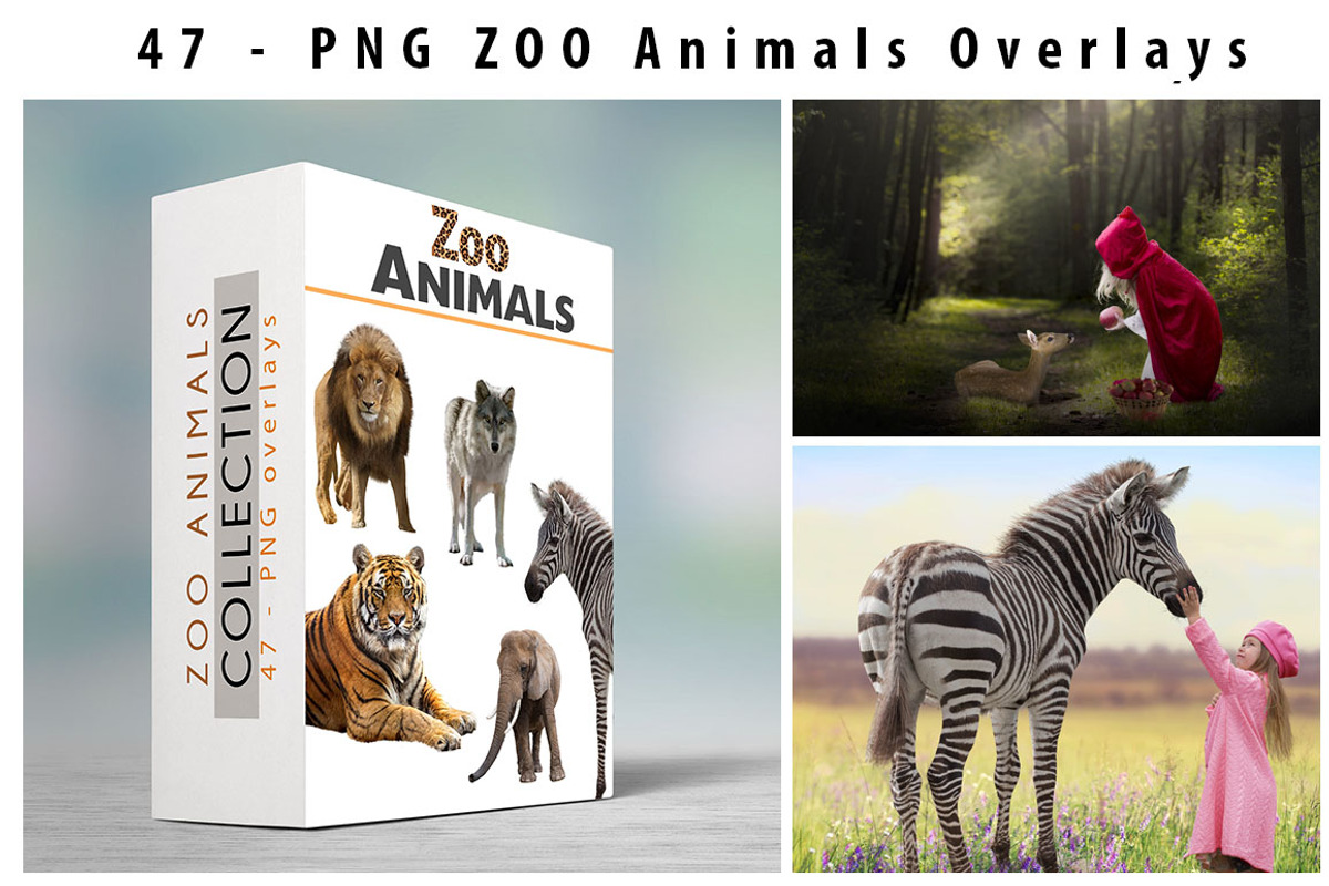 47 - PNG - ZOO ANIMALS, an Object Graphic by DareToDream (Photo 3 of 3)