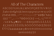 CS Calistha Disco, a Serif Font by Craft Supply Co. (Thumbnail 8 of 8)