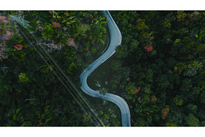 Winding road crossing lush green, a Nature Photo by Goinyk