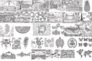 32 SUMMER COLORING PAGES, an Animal Illustration by Somjai King (Thumbnail 2 of 2)