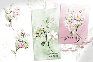 Peonies Watercolor Set.