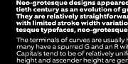 EquipExtended, a Sans Serif Font by Hoftype (Thumbnail 4 of 15)