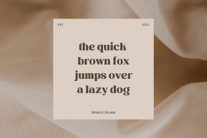 Bingo Dilan - Modern Display Font