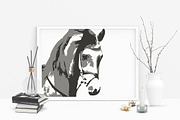 Hand drawn horse collection, vector, an Animal Illustration by AnastasiyaOleynik (Thumbnail 9 of 11)