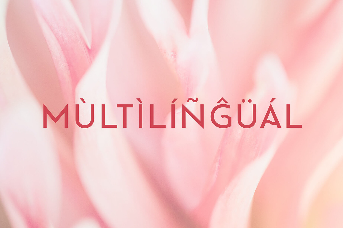 Rejova Font Family – Sans Serif, a Sans Serif Font by RC graphics (Photo 5 of 7)