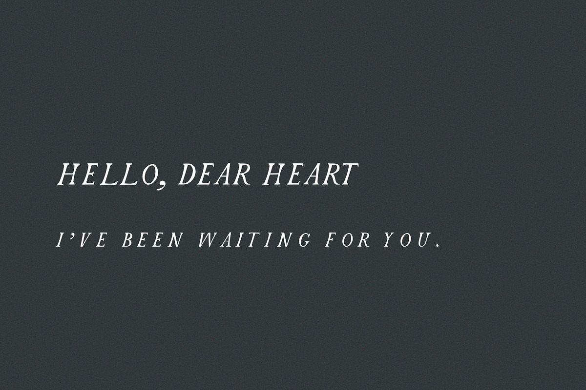 Passion | Romantic Serif preview 4