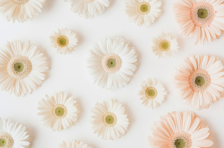 Spring holiday postcard with white a, a Photo by Dvoevnore photos