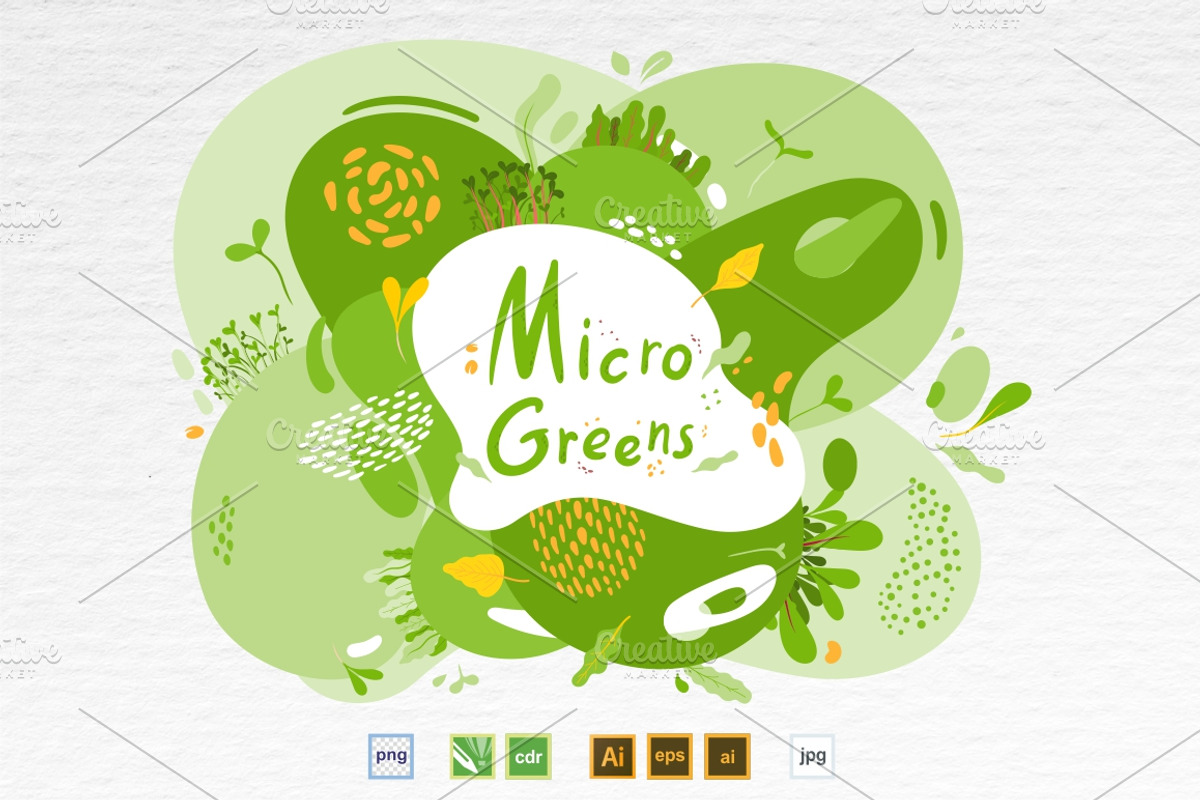 Microgreens Vector Set 1, a Food Illustration by ElenaKovalyova (Photo 5 of 21)