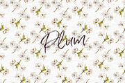 Plum in botanical style, a Food Illustration by Ann Astro (Thumbnail 7 of 11)