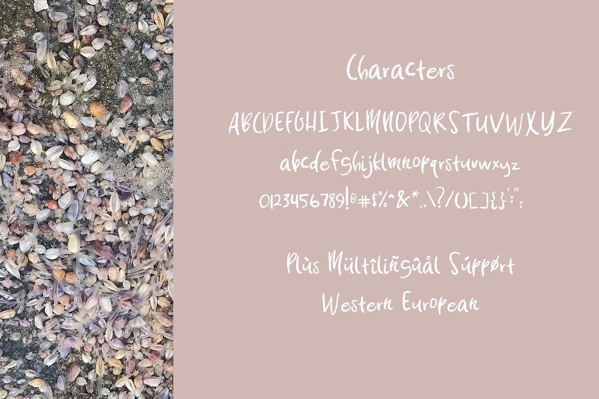 Coquina Clam Sans, a Sans Serif Font by Beck McCormick (Photo 4 of 5)