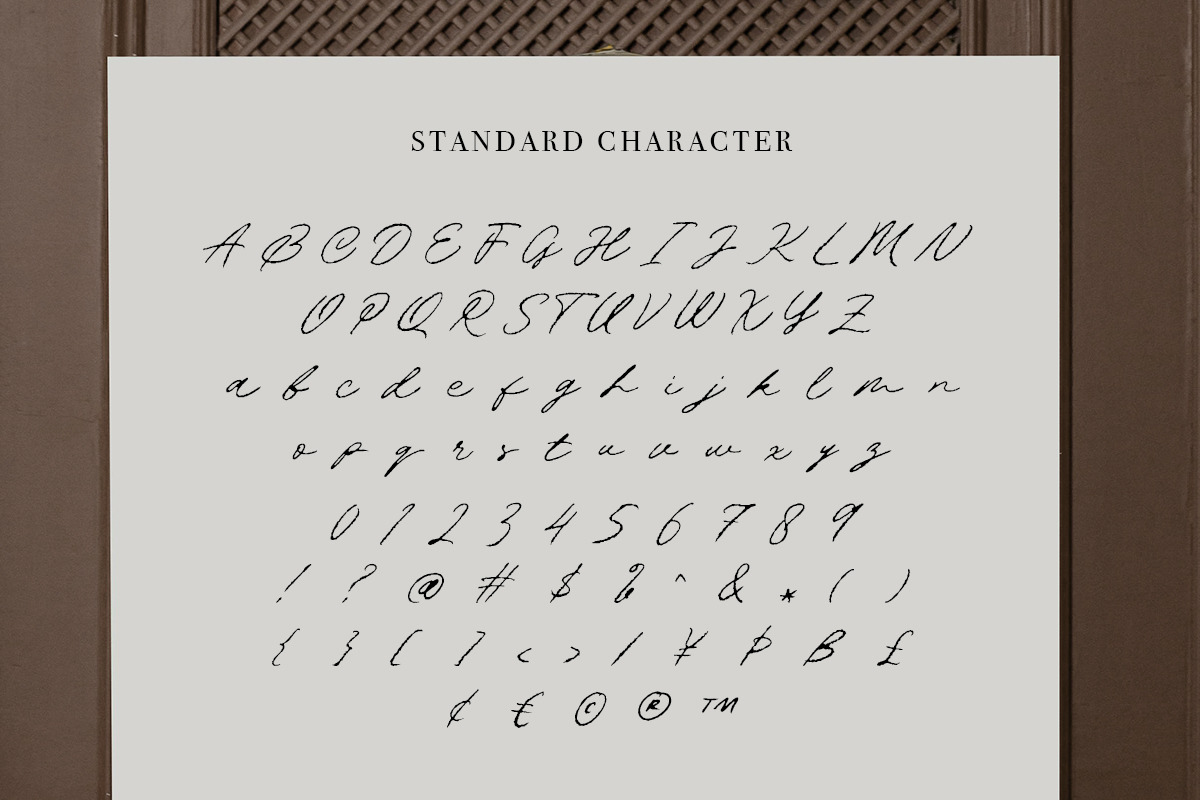 Darkling - Wedding Rough Script, a Script Font by Bale Type (Photo 11 of 11)