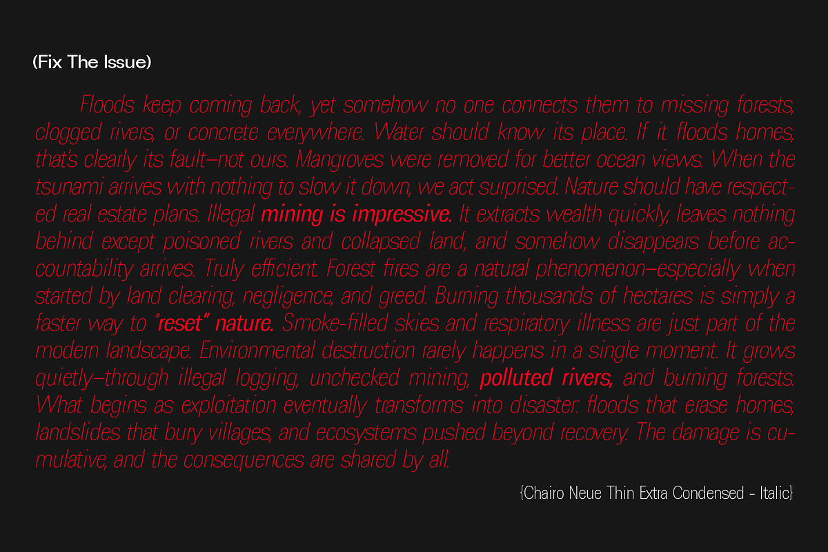 ChairoNeue, a Sans Serif Font by Propertype (Photo 11 of 14)