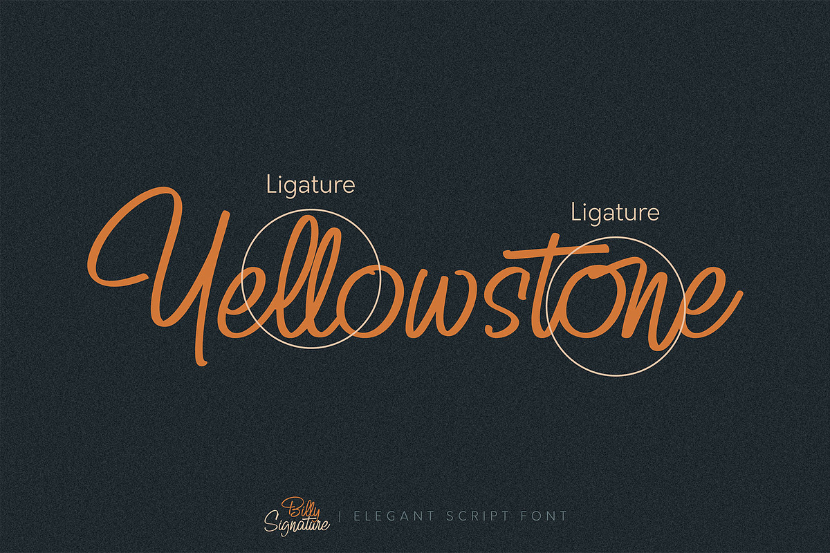 Billy Signature, a Script Font by Omotu Studio (Photo 4 of 12)