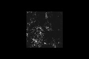 Distressed Grunge Textures, a Texture Graphic by TuomoDesign (Thumbnail 2 of 5)