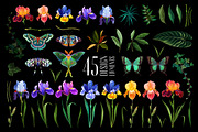 EDEN. Fresh trend!, a Decorative Illustration by OlgaSoi007 (Thumbnail 2 of 17)
