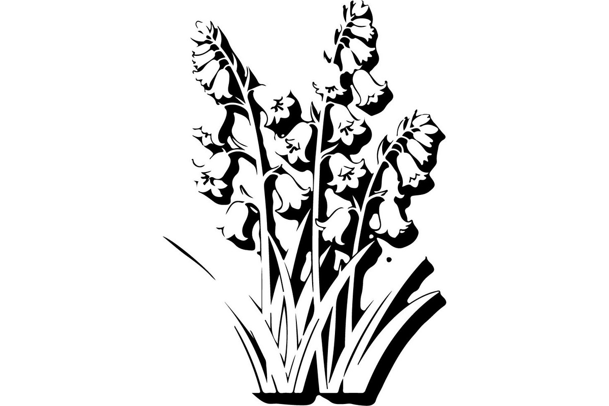 Vintage Botanical Flower Vector Set, an Object Illustration by Designer_Momina (Photo 19 of 26)