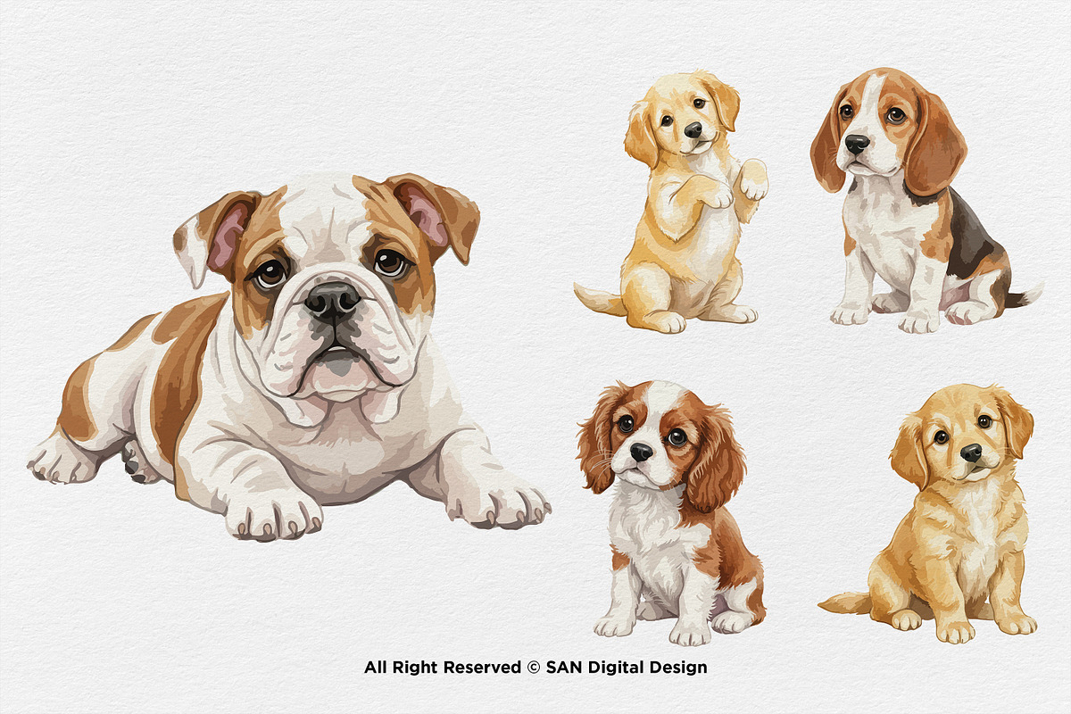 15 Bundle Watercolor Cute Dog Fluffy, an Animal Illustration by Morspective (Photo 5 of 8)