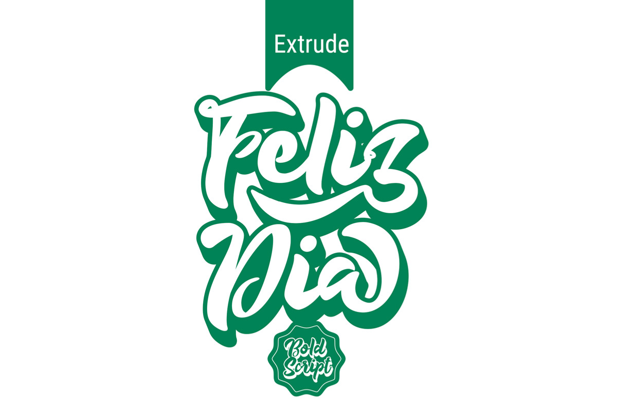 Feliz Dia Bold Script, a Script Font by Fontcastle (Photo 2 of 15)