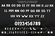 Daddy Brother, a Script Font by FreshTypeINK (Thumbnail 3 of 8)