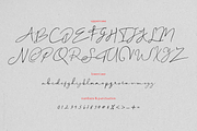 Peylon Viggo Signature, a Handwritten Font by madeDeduk (Thumbnail 6 of 10)