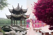 454 Infrared Fantasy Pro LUTs, a Preset Add-On by ShutterPro (Thumbnail 21 of 48)