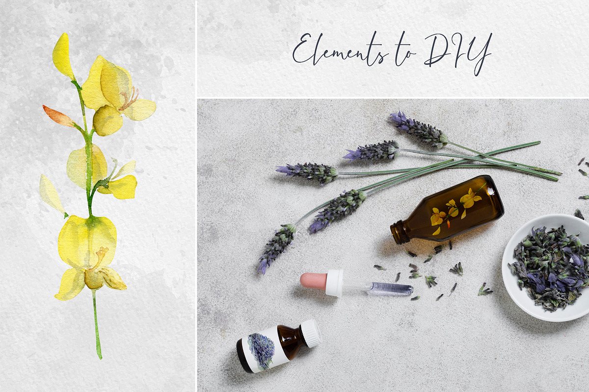 Lavender sunshine, an Object Illustration by MsFlaffy (Photo 2 of 12)