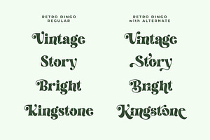 Retro Dingo - Modern Vintage Serif