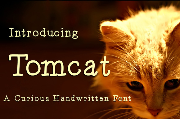 Tomcat preview 4