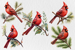 Red Cardinal PNG Christmas Bundle