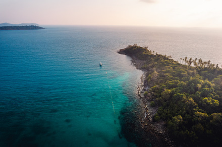Tropical island and palm trees, bird's-eye view, a Nature Photo by Art Rachen