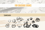 Mushrooms. Big set. 84 objects, a Decorative Illustration by Alena Kaz (Thumbnail 5 of 8)