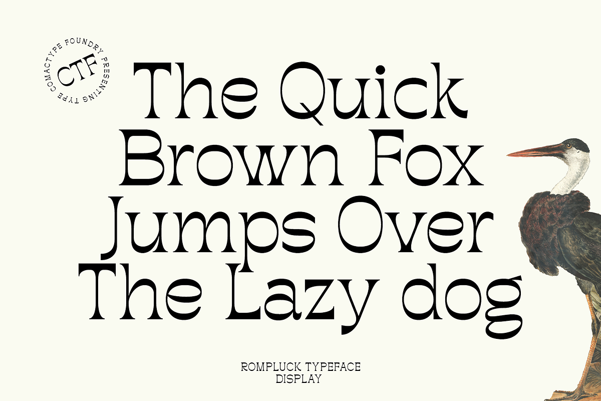 Rompluck - A Display Typeface, a Serif Font by Comactype Foundry (Photo 15 of 20)