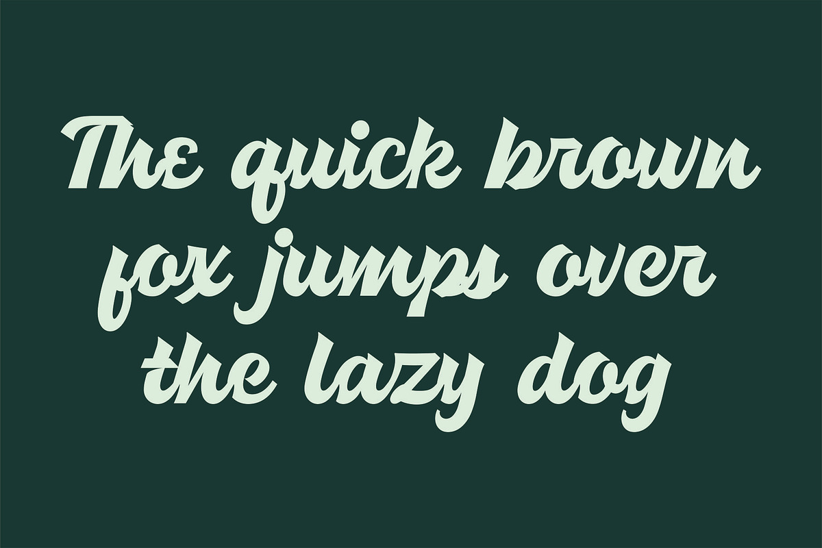 ATHLANTIK - Bold Script, a Script Font by Havinkpen (Photo 4 of 8)