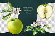 Green Apple Bloom. Watercolor set, a Graphic by Akvarelldesign (Thumbnail 2 of 2)
