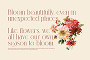 Honste Elegant Serif Display Font, a Serif Font by Graphicxell (Thumbnail 5 of 8)