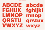 BN Hillside Grotesk, a Sans Serif Font by Bnick (Thumbnail 7 of 14)