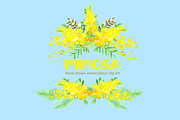 Mimosa  Watercolor Clip Art, an Illustration by LABFcreations (Thumbnail 3 of 4)