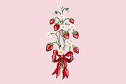 Wild Strawberry Plant Set Drawing, an Object Graphic by Toltemara (Thumbnail 3 of 3)