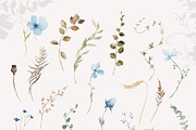 WINTER FLORALS watercolor set, a Decorative Illustration by Yuliia Lashevska (Thumbnail 11 of 12)