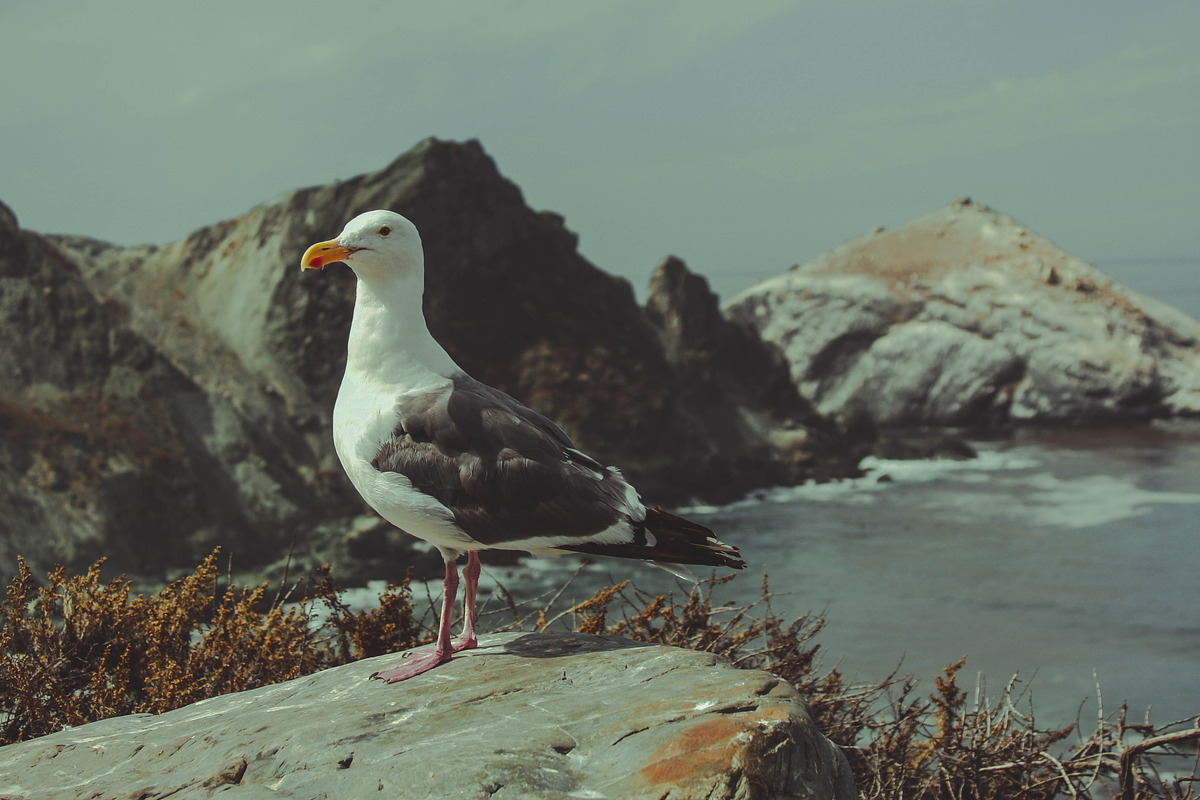 162 Landscape Presets Bundle, a Preset Add-On by Timeless Presets (Photo 12 of 14)