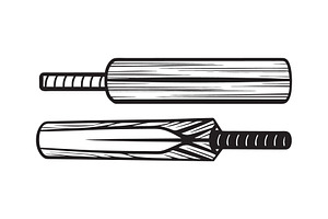 Cricket Bat Vector Icon Set