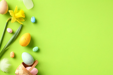 Happy Easter greeting card mockup. Easter eggs and yellow daffodil flowers on g, a Holiday Photo by photoguns