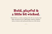 Cheeky Pearls | Flapper Slab Serif, a Slab Serif Font by Lauren Hodges (Thumbnail 2 of 12)