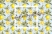 Lemon in botanical style, a Food Illustration by Ann Astro (Thumbnail 5 of 9)